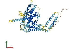 Protein Structure (PS) image for Limb Region 1 Homolog (LMBR1) (AA 1-490) protein (His tag) (ABIN7561555)