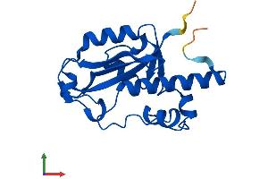 Protein Structure (PS) image for Interferon Stimulated Exonuclease Gene 20kDa (ISG20) (AA 1-181) protein (His tag) (ABIN7548542)