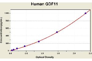 Diagramm of the ELISA kit to detect Human GDF11with the optical density on the x-axis and the concentration on the y-axis. (GDF11 ELISA Kit)