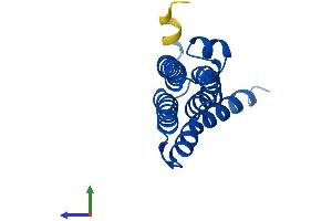 Protein Structure (PS) image for Prostaglandin E Synthase (PTGES) (AA 1-152) protein (His tag) (ABIN7551117)