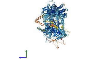 Protein Structure (PS) image for ATP-Binding Cassette, Sub-Family C (CFTR/MRP), Member 9 (ABCC9) (AA 1-1549) protein (His tag) (ABIN7551795)