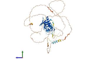 Protein Structure (PS) image for Establishment of Cohesion 1 Homolog 2 (ESCO2) (AA 1-592) protein (His tag) (ABIN7559372)
