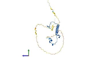 Protein Structure (PS) image for Cyclin-Dependent Kinase Inhibitor 1B (p27, Kip1) (CDKN1B) (AA 1-198) protein (His tag) (ABIN7553272)