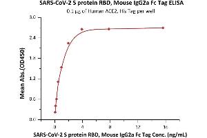 ELISA image for SARS-CoV-2 Spike S1 (G476S), (RBD) protein (mFc Tag) (ABIN6952629)