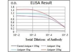 ELISA image for anti-Replication Protein A1, 70kDa (RPA1) antibody (ABIN1108896)