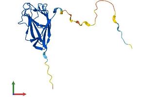 Protein Structure (PS) image for TRAF-Interacting Protein with Forkhead-Associated Domain (TIFA) (AA 1-184) protein (His tag) (ABIN7544471)