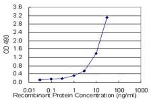 TNFRSF17 (Human) Matched Antibody Pair