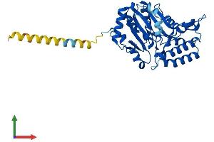 Protein Structure (PS) image for 5'-Nucleotidase, Cytosolic III (NT5C3) (AA 1-331) protein (His tag) (ABIN7560810)