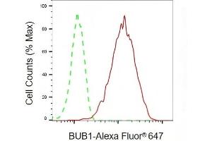 Flow cytometric analysis of BUB1 expression in HAP-1 cells using BUB1 antibody (ABIN7797803), 1:2,000). (Rekombinanter BUB1 Antikörper)