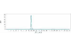 The purity of Anti-IL-13 Reference Antibody (CNTO 607) is more than 95 % , determined by SEC-HPLC. (Rekombinanter IL-13 Antikörper)