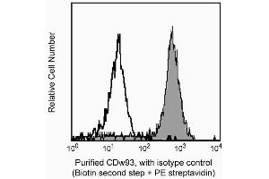 Expression of C1qRp by unstimulated human peripheral blood mononuclear cells (PBMC). (CD93 Antikörper)