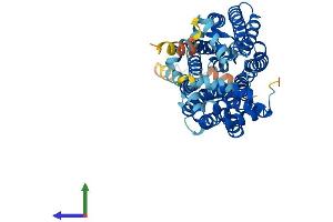 Protein Structure (PS) image for Solute Carrier Family 2 (Facilitated Glucose Transporter), Member 2 (SLC2A2) (AA 1-523) protein (His tag) (ABIN7562872)
