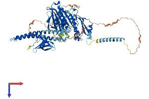 KIF2A Protein (AA 1-706) (His tag)