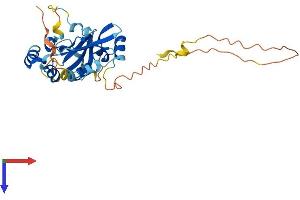 TPGS2 Protein (AA 1-296) (His tag)