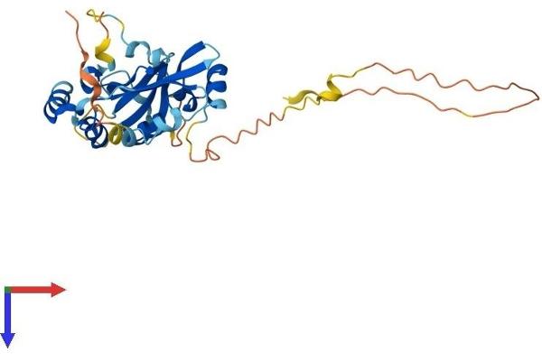 TPGS2 Protein (AA 1-296) (His tag)