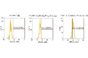 Flow Cytometry (FACS) image for anti-Transforming Growth Factor, beta 1 (TGFB1) (AA 279-390) antibody (APC) (ABIN5566209) (TGFB1 Antikörper  (AA 279-390) (APC))