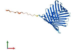 AlphaFold protein structure predicition of Human Recombinant TOMM40L Protein, UniprotID Q969M1