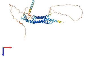 MARVELD3 Protein (AA 1-401) (His tag)