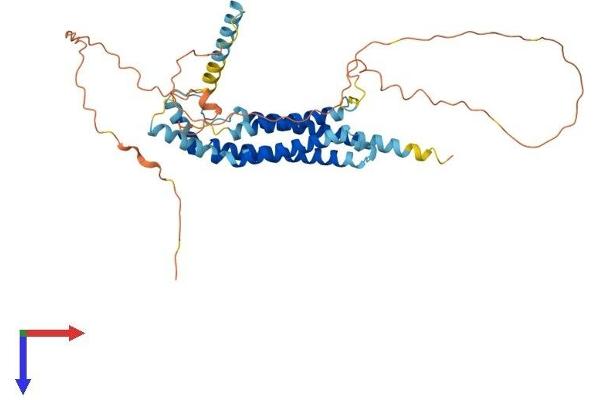 MARVELD3 Protein (AA 1-401) (His tag)