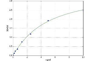 GRB2-Related Adaptor Protein 2 (GRAP2) ELISA Kit