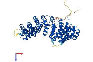 ARMC6 Protein (AA 1-501) (His tag)