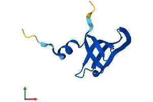 Protein Structure (PS) image for LSM6 Homolog, U6 Small Nuclear RNA Associated (LSM6) (AA 1-80) protein (Fc Tag) (ABIN7549240)