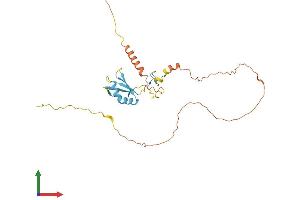 SFRS7 Protein (AA 1-267) (His tag)