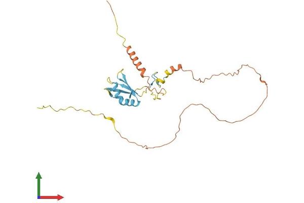 SFRS7 Protein (AA 1-267) (His tag)