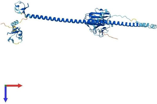 TRIM50 Protein (AA 1-483) (His tag)