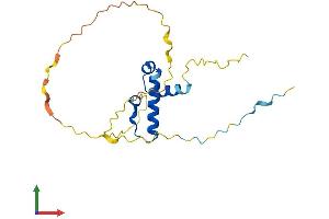 AlphaFold protein structure predicition of Human Recombinant SSX3 Protein, UniprotID Q99909