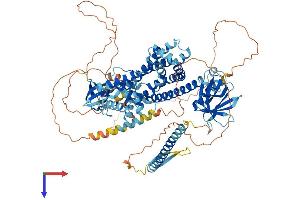ARHGEF7 Protein (AA 1-862) (His tag)