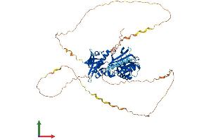 Protein Structure (PS) image for Synapsin II (SYN2) (AA 1-582) protein (His tag) (ABIN7544117)