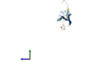 Protein Structure (PS) image for Caspase Recruitment Domain Family, Member 9 (CARD9) (AA 1-536) protein (His tag) (ABIN7561917)