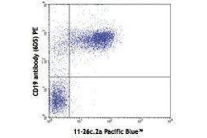 Flow Cytometry (FACS) image for Rat anti-Mouse IgD antibody (Pacific Blue) (ABIN2667177) (Ratte anti-Maus IgD Antikörper (Pacific Blue))