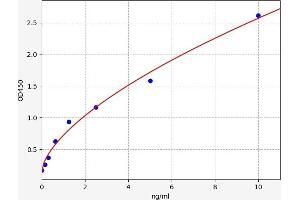 RPS6KB1 ELISA Kit