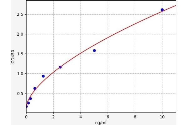 RPS6KB1 ELISA Kit