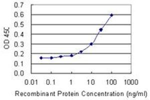 Detection limit for recombinant GST tagged TRIM13 is 1 ng/ml as a capture antibody. (TRIM13 Antikörper  (AA 1-100))