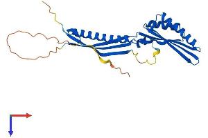 IRAK1BP1 Protein (AA 1-260) (His tag)