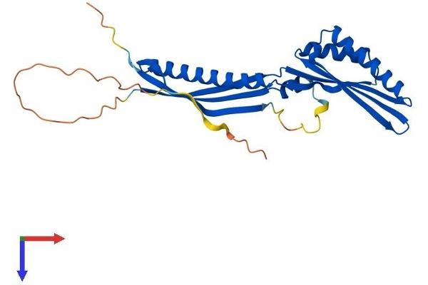 IRAK1BP1 Protein (AA 1-260) (His tag)