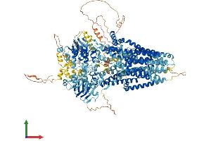 AlphaFold protein structure predicition of Human Recombinant CFTR Protein, UniprotID P13569 (CFTR Protein (AA 1-1480) (His tag))