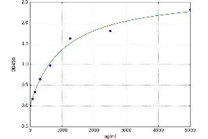 Kinase Suppressor of Ras 2 (KSR2) ELISA Kit