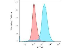 Flow Cytometric Analysis of paraformaldehyde-fixed Jurkat cells with Double Stranded DNA Mouse Monoclonal Antibody (121-3)followed by Goat anti-Mouse IgG-CF488 (Blue) Isotype Control (Red) (dsDNA Antikörper)