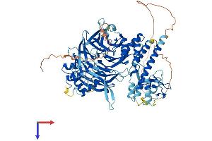 GTF3C4 Protein (AA 1-817) (His tag)