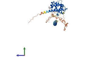 AlphaFold protein structure predicition of Human Recombinant RUNDC3A Protein, UniprotID Q59EK9