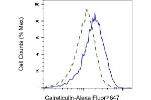 Validation of Calreticulin knockdown using flow cytometry.