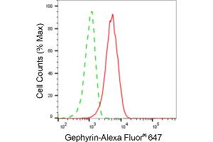 Flow cytometric analysis of Gephyrin expression in HAP-1 cells using Gephyrin antibody (ABIN7798714), 1:2,000). (Gephyrin Antikörper)