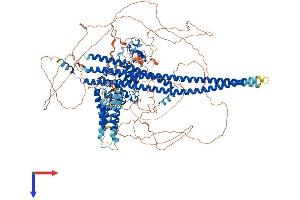 PARG1 Protein (AA 1-1261) (His tag)