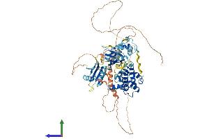 Protein Structure (PS) image for BR serine/threonine Kinase 2 (BRSK2) (AA 1-736) protein (His tag) (ABIN7552885)