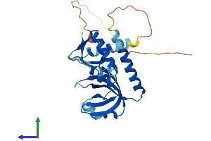 Protein Structure (PS) image for Replication Protein A4, 30kDa (RPA4) (AA 1-261) protein (His tag) (ABIN7551325)