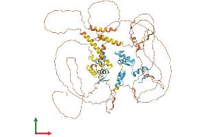 AlphaFold protein structure predicition of Human Recombinant ZBTB20 Protein, UniprotID Q9HC78
